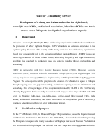 Call for consultancy AFD (1).docx.pdf